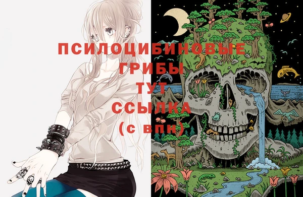 твердый Бронницы