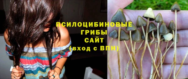 твердый Бронницы